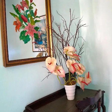 Castelletto Apartment Bari Sardo